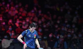 2021年乒乓球世乒赛